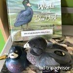 游客信息中心_Haast Visitor Centre点评 - TripAdvisor(猫途鹰)